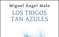 Los trigos tan azules