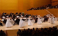 Concierto de Año nuevo